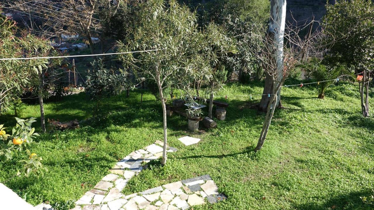 The Old Olive Mill House Vila Aegae Exterior foto