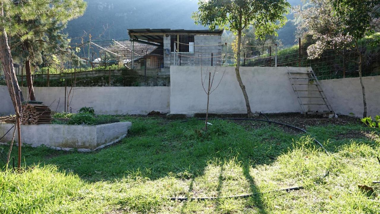 The Old Olive Mill House Vila Aegae Exterior foto